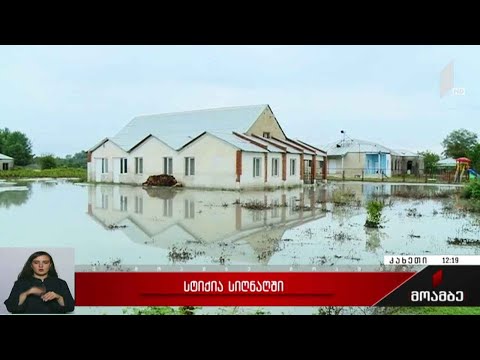 სტიქია სიღნაღში