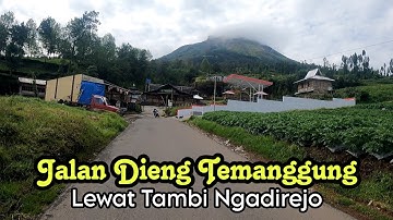 Jalan Alternatif Dieng Temanggung Lewat Jalan Kebun Teh Tambi Ngadirejo || #YitnoAnnafi