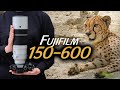 Test Fujifilm XF 150-600mm F5.6-8 : l&#39;optique INDISPENSABLE pour l&#39;animalier ?! vs XF100-400 ?