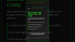 Auditing Zammad After an Autonomous Agent Chained Zero-Days Against DIVD