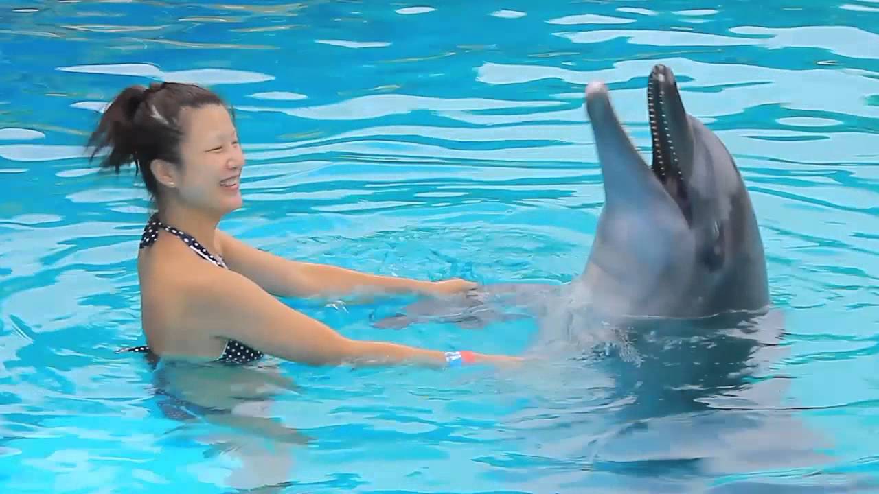 6/23/2013 Swim with Dolphin Encounter Program