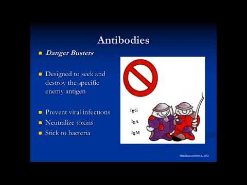 IgG Subclass & Specific Antibody Deficiency