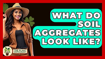 What Do Soil Aggregates Look Like? - The Plant Enthusiast