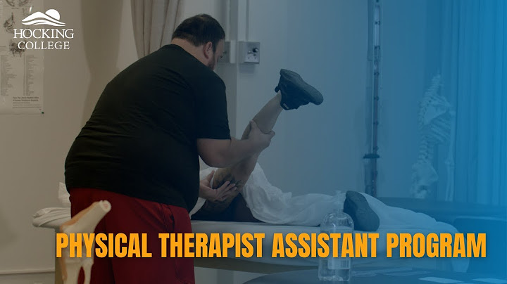 What schools offer physical therapy assistant programs