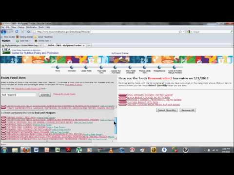 Mypyramid.gov Demo-vid.avi