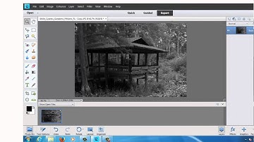 Convert Color Pictures to Black and White in Adobe Photoshop Elements 11