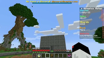 Mineplex Staff Interview [Mod Joiined]