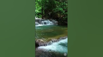 سورة الضحي/الدوسري