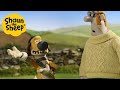 Shaun the Sheep 🐑 Run Away Dog! - Cartoons for Kids 🐑 Full Episodes Compilation [1 hour]