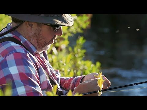 Video: Funksjoner Ved å Fiske Med 