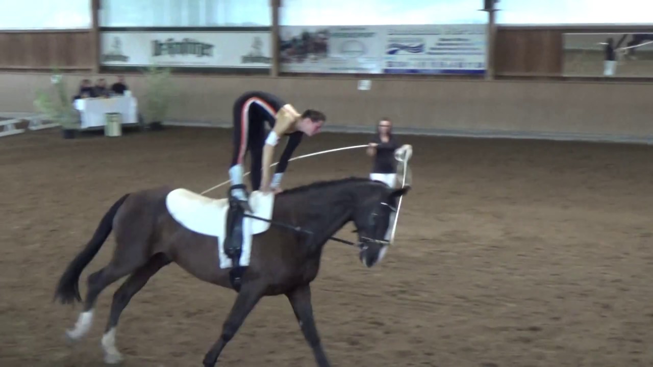 L-Einzelvoltigieren in Leipzig-Herodot -  HSC am Elsterbogen