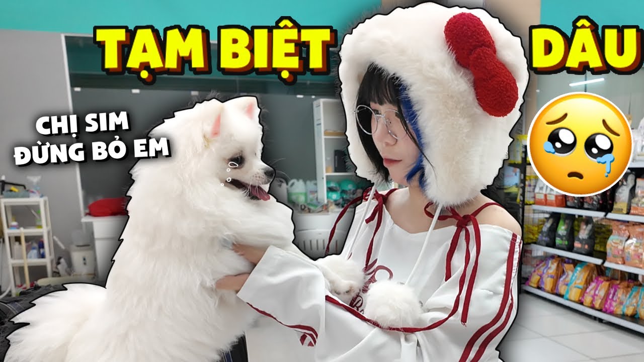 Đây là Video Cuối Cùng Mình Quay Với Bé Dâu 🥺