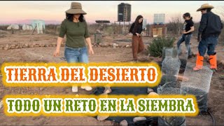 NUTRIENDO tierra DIFÍCIL en el desierto~arreglando el TRACTOR~NOS PRESENTAMOS OFICIALMENTE