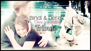 Bindi \& Derek || Tribute (Once in a lifetime)