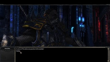 Divinity II: Developer