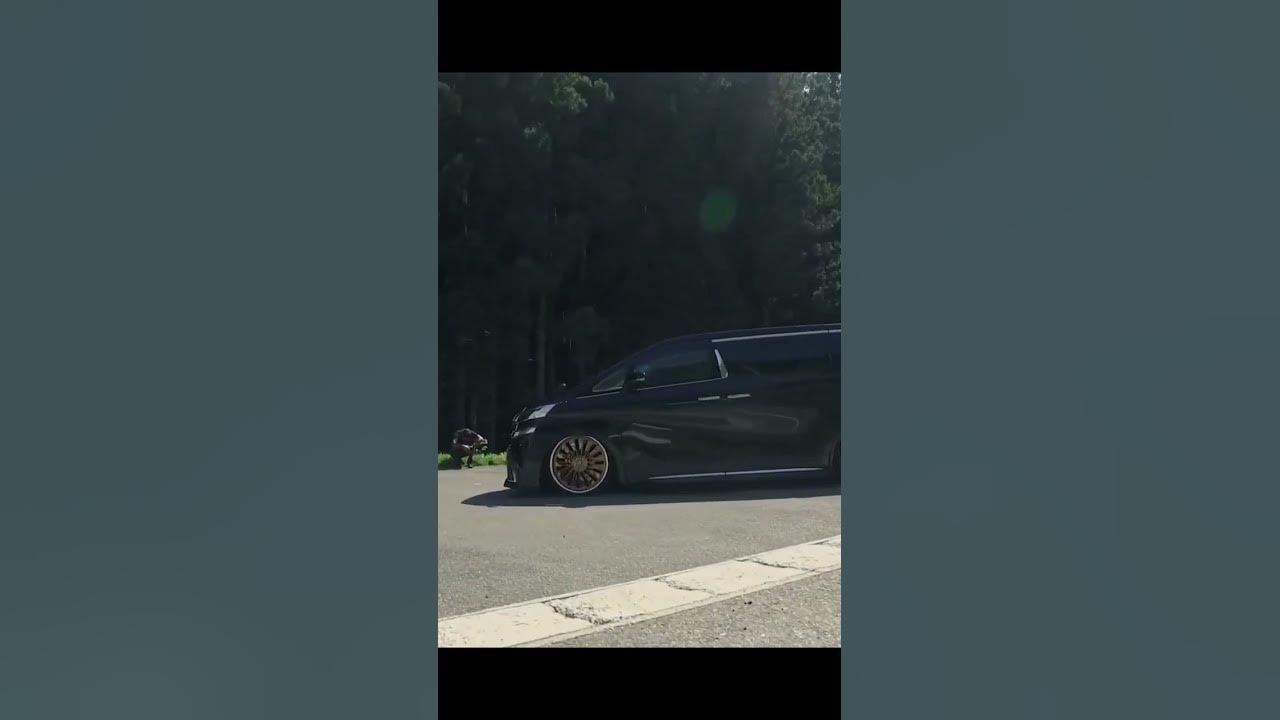 toyota-luxury-van-toyota-luxury-van-youtube
