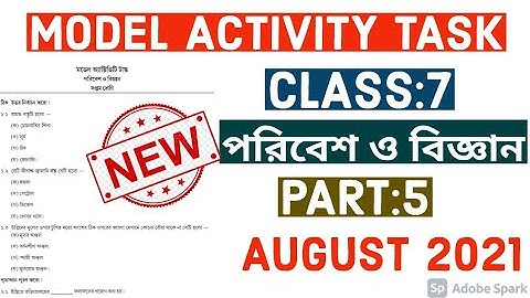 Model Activity Task Class 7 পরিবেশ ও বিজ্ঞান Science Part 5 August 2021 Full Solution