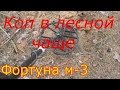 Фортуна М 3 КОП В ЛЕСНОЙ ЧАЩЕ.Находки и монеты.№29