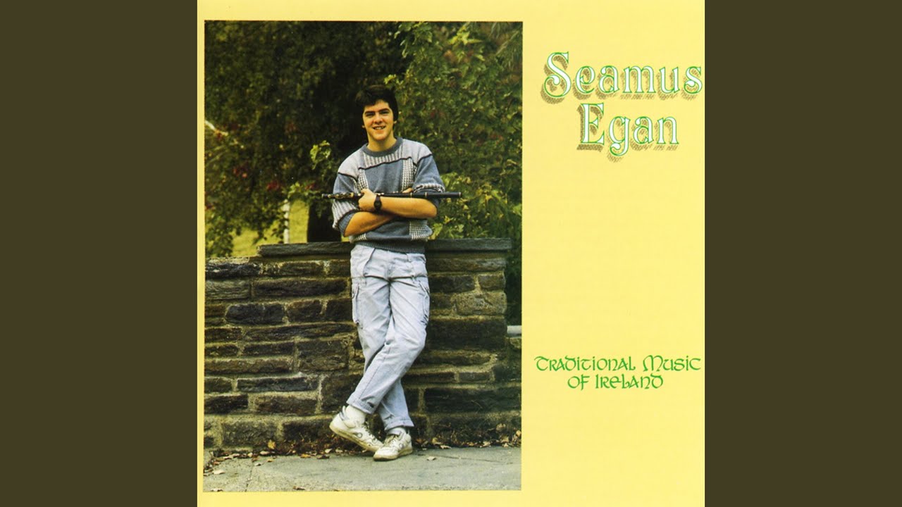 McDermott's Fancy / Swans Among The Rushes / Chicago / The Swallow's Nest - (jig)