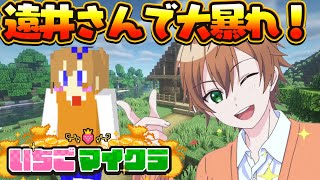 【 #いちごマイクラ 】遠井さんが新チームで大暴れ！！！【ジェル】【STPR／すとぷり】【騎士X／AMPTAK／めておら／すにすて】