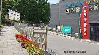 나의 첫 브이로그(우리 학교 소개)