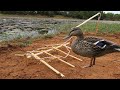 Technology: Amazing Quick Wild Duck Trap Using Wood- Easy Wild Duck Trap working 100%