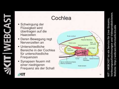 Video: Wie wandert Schallenergie durch die Luft?