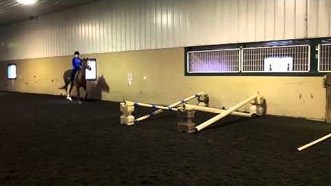 Jumping Lesson 2-5-2012 Grid Work