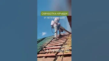 Обработка крыши от летучих мышей