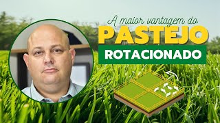 Entenda De Uma Vez Por Todas A Maior Vantagem Do Pastejo Rotacionado Prof. Marcelo Costa