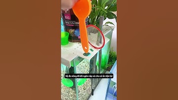 Chiếc kệ đa năng vừa để đồ ngăn nắp vừa trồng cây thủy canh và chăm cá ăn tiện lợi #aquatic #shorts