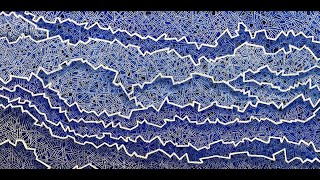 : Carol Zsolt