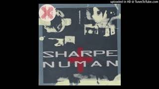 Watch Sharpe  Numan Nightlife video