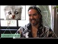 Russell Brand Reacts to Cat Lawyer Viral Video