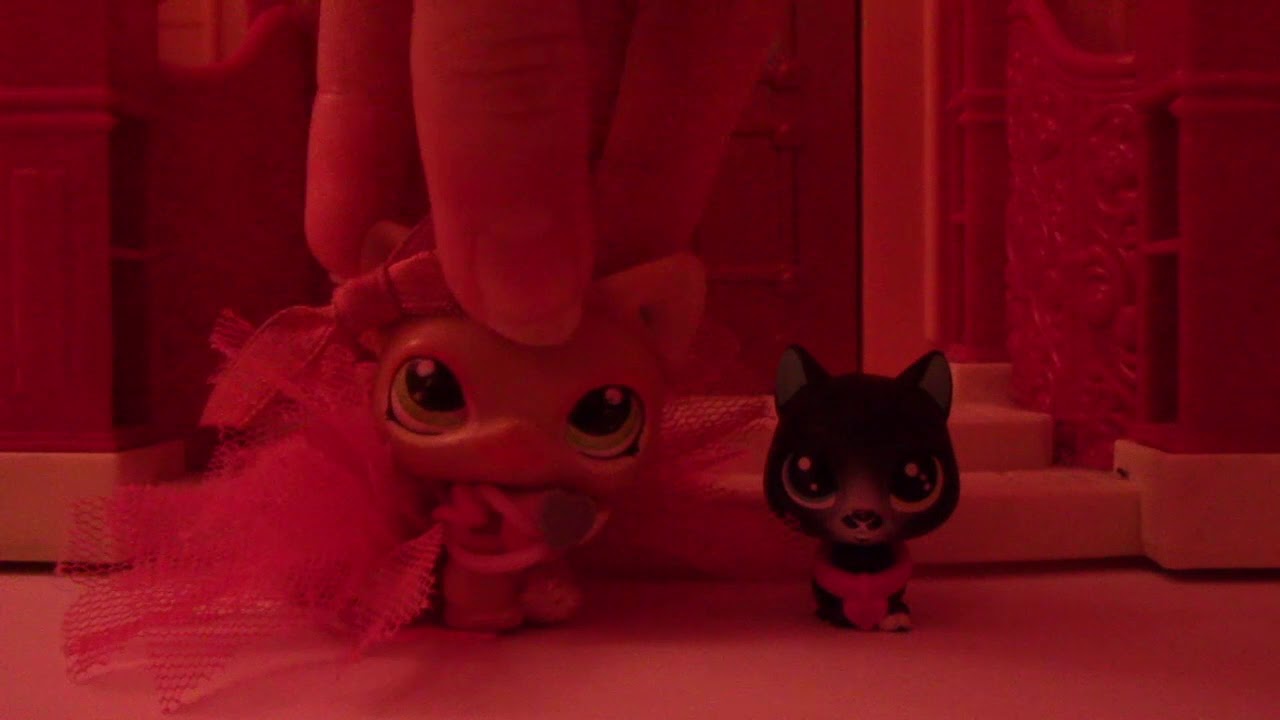 Welcome to CritterTV