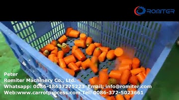 Automatic Carrot Segments Chopping Cutting Machine for Sale