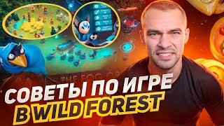 Всё о Wild Forest: Как играть и зарабатывать одновременно