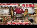 АСТРАХАНСКОЕ ЗОЛОТО, которое покорит любого, от компании FISHCA.