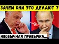 Зачем они это делают ? Очень странная привычка нюхать палец.