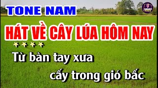 Hát Về Cây Lúa Hôm Nay Karaoke Remix Tone Nam Phối Chuẩn Cực Hay | Dễ hát
