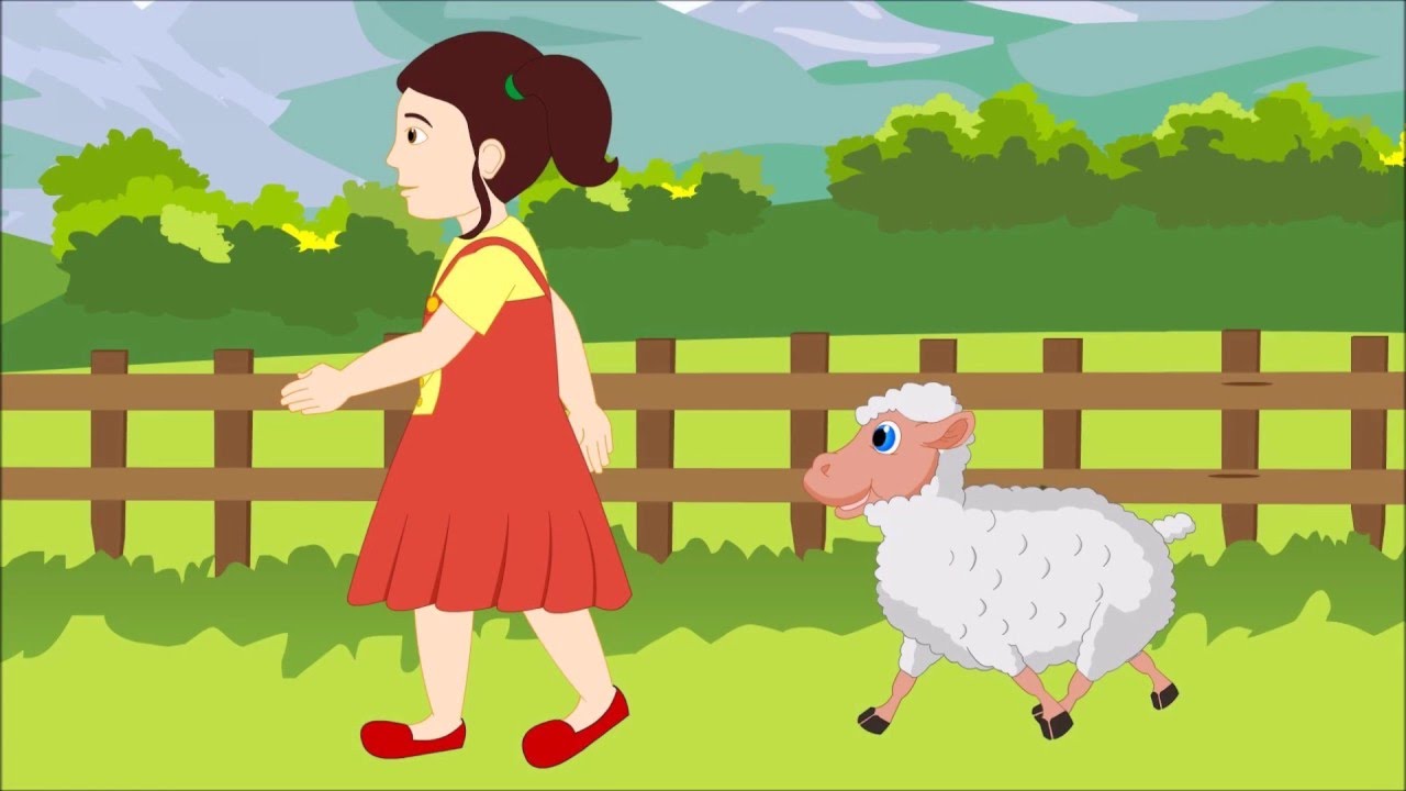 Amys Little Lamb Summer Camp Adventure