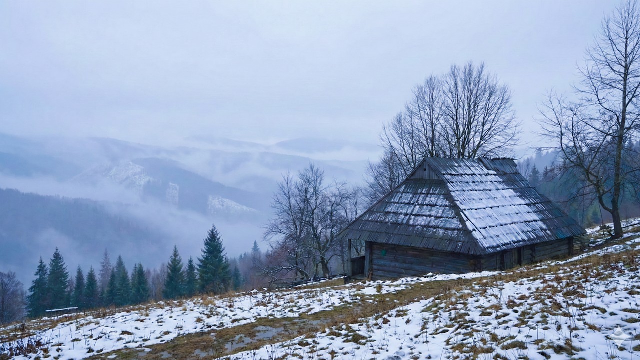 7 ночей в заброшенных горных хижинах (Мои походы в одном видео), АСМР карпатской хижины