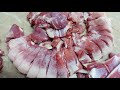 Incredible big size full goat cutting skills