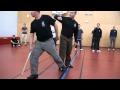 Systema extraits de sminaire par jrme kadian 170411