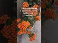 #reflexão #motivacional #videoshorts