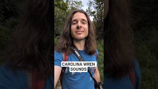 The Many Songs of the Carolina Wren 🎼 #birdfacts #birdsounds #learnaboutbirds