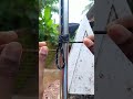Flag knot trick idea #rope #diy #ropework