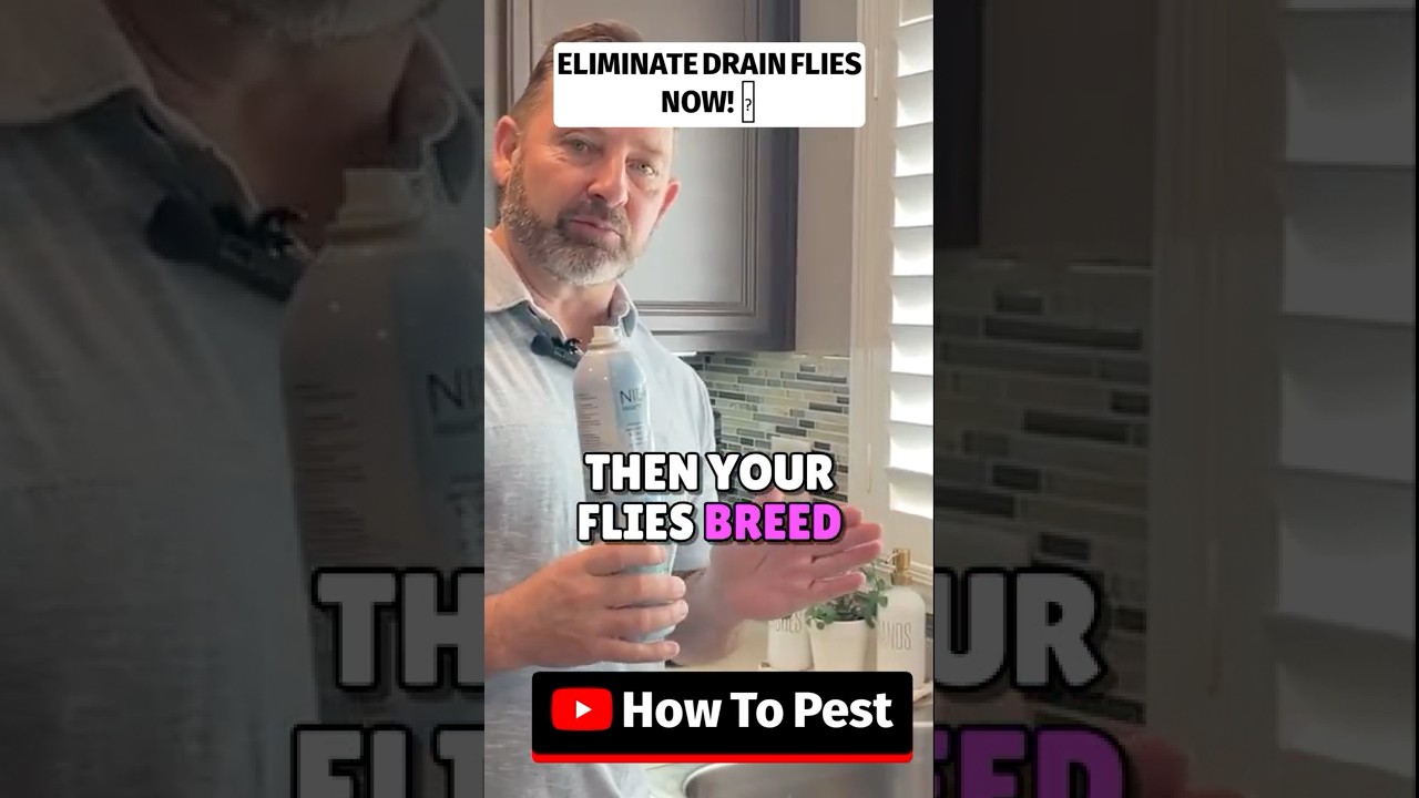 Избавьтесь от мух в канализации прямо сейчас — как использовать инсектицидную пену Nibor D 