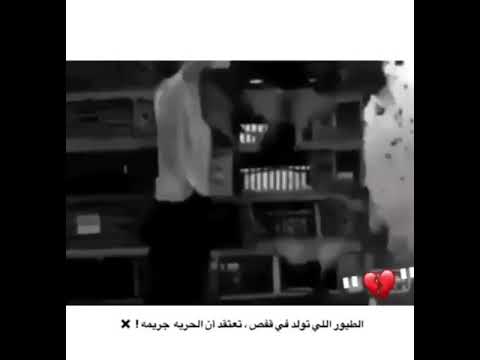 الطيور التي تولد في قفص تعتقد أن الحريه جريمه