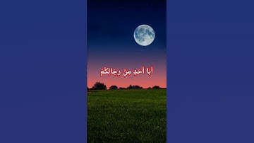 تلاوة محبرة للشيخ سيد سعيد #quran #تلاوة_خاشعة #اكسبلور #قران_كريم #حالات_واتس